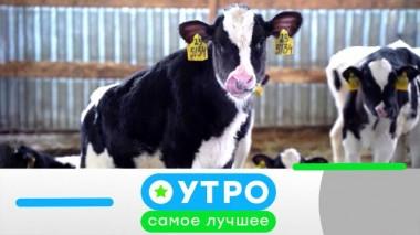 16 апреля 2025 года 16.04.2025