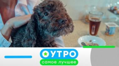 16 июня 2020 года 16.06.2020