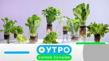 19 апреля 2019 года 19.04.2019