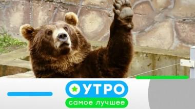 19 мая 2020 года 18.05.2020