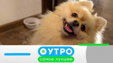 19 ноября 2019 года 18.11.2019