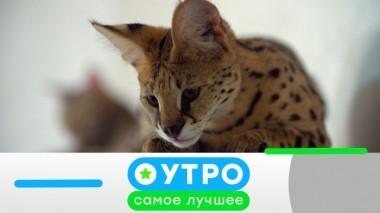 20 мая 2019 года 19.05.2019