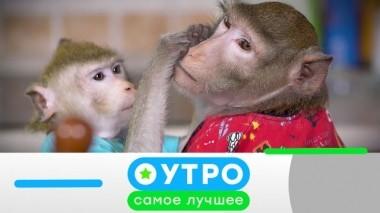 20 ноября 2019 года 19.11.2019