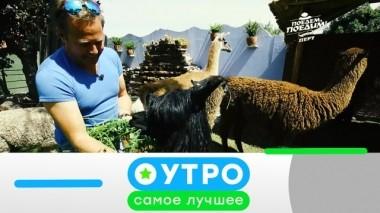 21 марта 2019 года 21.03.2019