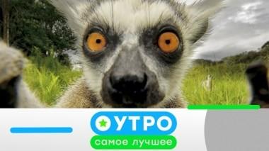 21 октября 2019 года 20.10.2019
