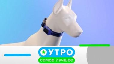 22 июля 2024 года 22.07.2024