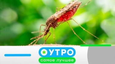 22 июня 2026 года 22.06.2026