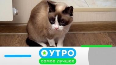22 мая 2019 года 21.05.2019