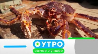 22 мая 2025 года 22.05.2025