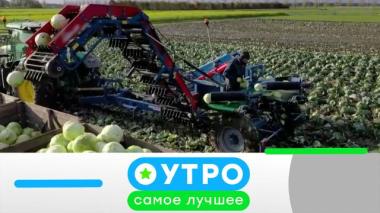 22 октября 2025 года 22.10.2025