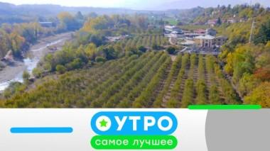 23 апреля 2020 года 22.04.2020