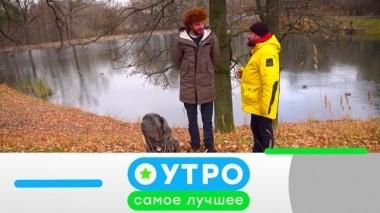 24 сентября 2019 года 23.09.2019