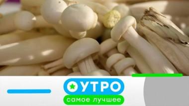 25 февраля 2025 года 25.02.2025