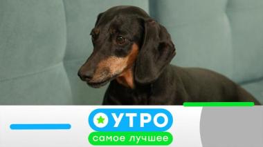 25 мая 2026 года 25.05.2026
