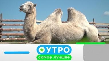 26 декабря 2019 года 26.12.2019