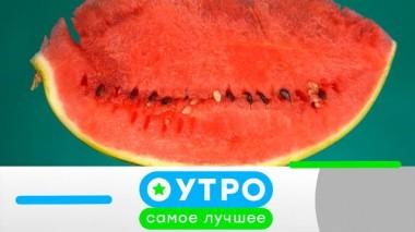 28 августа 2024 года 28.08.2024