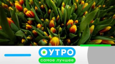 29 апреля 2026 года 29.04.2026