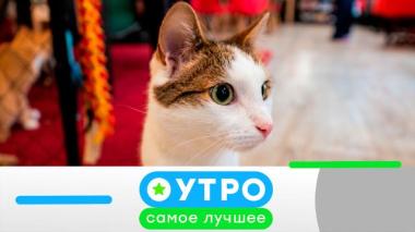 29 июня 2026 года 29.06.2026