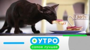 3 октября 2019 года 02.10.2019