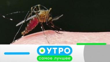 31 мая 2024 года 31.05.2024