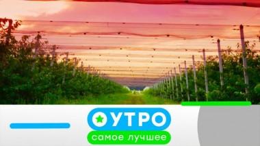 31 октября 2024 года 31.10.2024