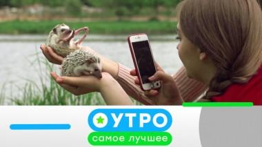 5 июня 2020 года 04.06.2020