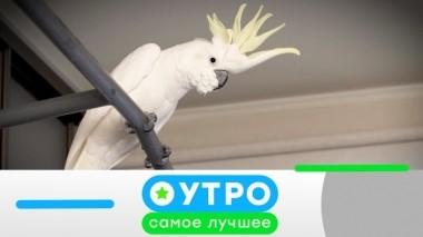 6 июня 2019 года 06.06.2019