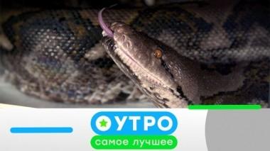 7 ноября 2019 года 06.11.2019