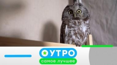 8 августа 2019 года 07.08.2019