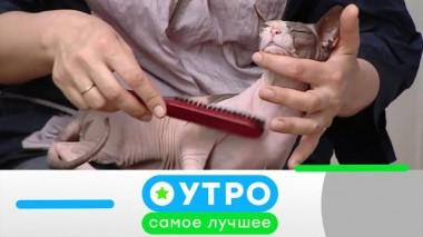 1 октября 2020 года 30.09.2020