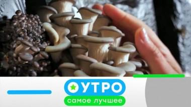 10 августа 2021 года 10.08.2021