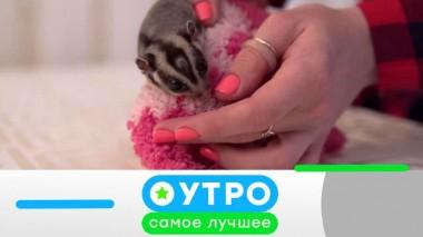 13 сентября 2021 года 12.09.2021