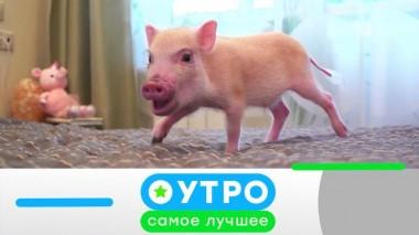 15 сентября 2022 года 15.09.2022