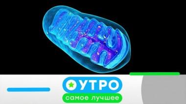 19 августа 2022 года 19.08.2022