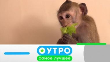 22 июля 2021 года 21.07.2021