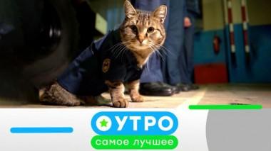 22 мая 2023 года 22.05.2023