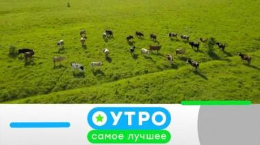 23 июня 2021 года 23.06.2021