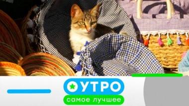 24 марта 2023 года 24.03.2023