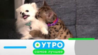 28 октября 2022 года 28.10.2022