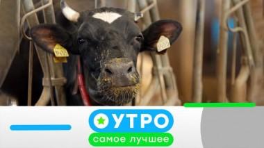 30 августа 2023 года 30.08.2023