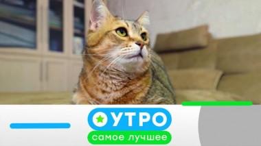 4 апреля 2023 года 04.04.2023