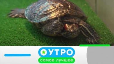 4 марта 2021 года 04.03.2021