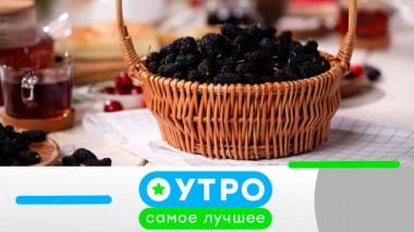 6 июня 2023 года 06.06.2023