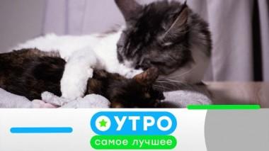 6 ноября 2020 года 06.11.2020