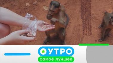 7 февраля 2022 года 07.02.2022