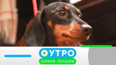 7 октября 2021 года 07.10.2021