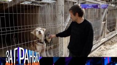 «Вой раздора» 28.09.2022