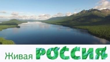 Живая Россия 19.12.2017